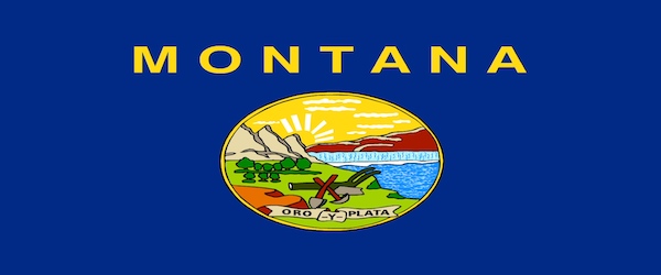 Bullion Laws in Montana
